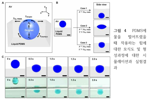 PDMS에 물을 떨어뜨렸을때 작용하는 힘에 대한 모식도 및 형성과정에 대한 시뮬레이션과 실험결과