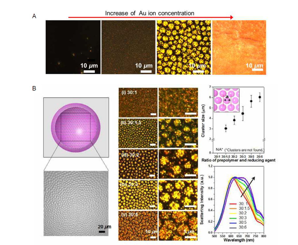 물과 액상 PDMS 계면에서 금 이온 전구체의 농도(A)와 환원제의 양(B)을 증가시키며 플라즈몬 캐비티를 제조하였을 경우 관측되는 다양한 표면 형상 및 산란 특성