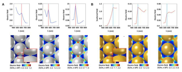 계면 구조체 표면에 어셈블리 된 은 나노입자(A) 또는 금 나노입자(B)간 거리에 따른 광학 특성 변화를 예측하는 시뮬레이션 결과