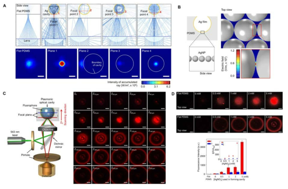 3차원 플라즈몬 계면 구조체의 구형 구조 및 반사로 인한 빛 농축효과(A)와 플라즈몬 나노입자 주변에서 발생되는 전자기장의 증폭(B)에 대한 시뮬레이션 결과. 실제 제조된 구조체 내에서의 초점 높이에 따라 측정된 형광신호의 증폭양상(C,D)