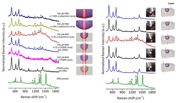 금 나노입자가 임베딩된 플라즈몬 캐비티를 이용하여 측정한 Raman 활성분자(Rhodamine 6G)의 Raman 스펙트럼
