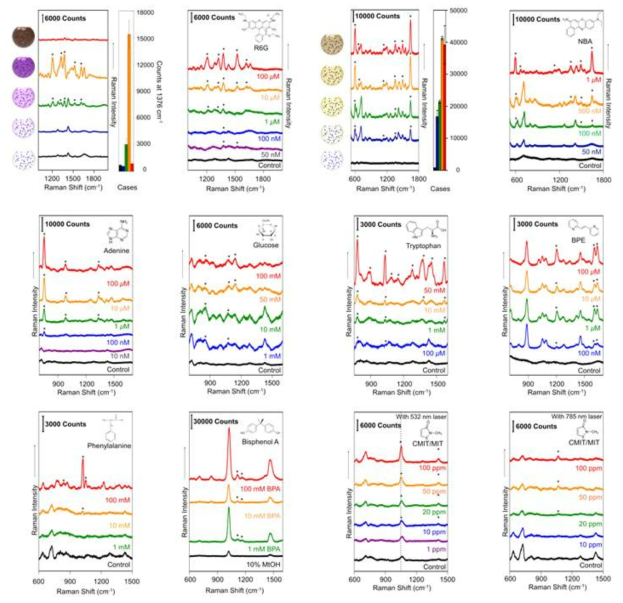 최적화된 플라즈몬 캐비티를 이용한 다양한 바이오분자 및 환경유해분자에 대한 라만분광 검출 결과