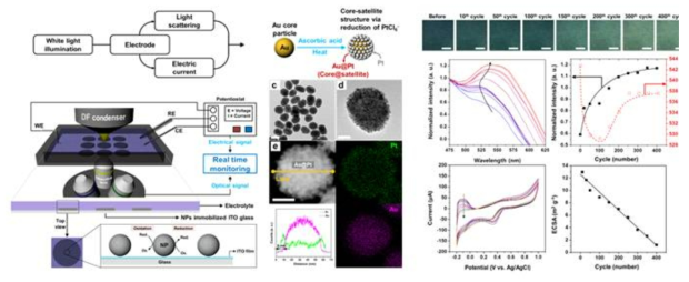 Au(core)/Pt(satellites)-중심위성 나노입자가 촉매로 코팅된 전극에서의 전기화학 반응 및 전극 물질의 변화를 레일리산란 신호 측정을 통해 실시간 모니터링한 결과