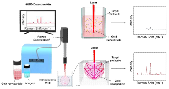 용액 샘플에 대한 라만 신호 증폭을 극대화할 수 있는 플라즈몬 캐비티가 형성되어 있는 라만 분석용 큐벳(Cuvette)을 포함하는 라만 분광시스템의 제품화 방안의 예시