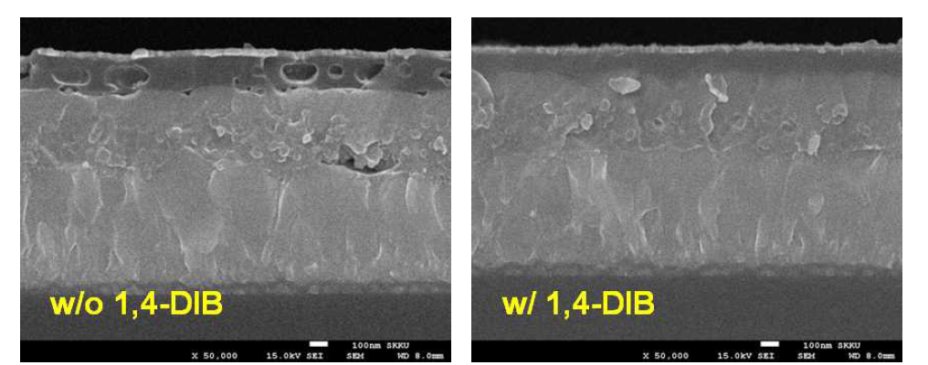 1,4-diiodobutane의 첨가에 따른 BT41기반 소자의 SEM 이미지