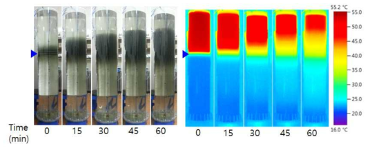 Temperature distribution in the distributor thermal storage tank