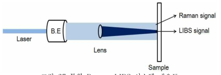 통합 Raman-LIBS 시스템 개요도
