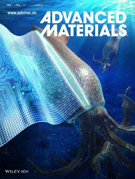 Advanced Materials 앞표지 논문 선정