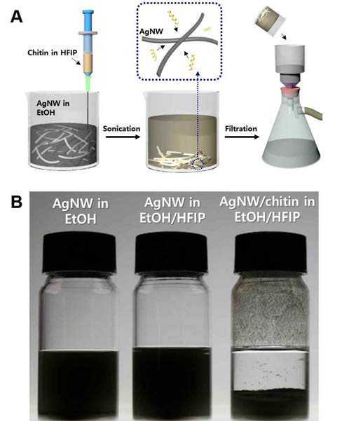 (A)키틴 나노섬유 바인더 적용 free-standing AgNW 기반 리튬-에어 이차전지용 cathode 제작공정, (B)키틴/HFIP 용액 투입 및 초음 파 처리에 의해 결속된 AgNW 분산용액(右)