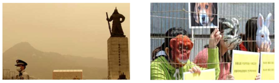 미세입자 농도 증가에 따라 심화되는 서울의 대기오염 모습(좌)과 동물실험 반대시위(우)