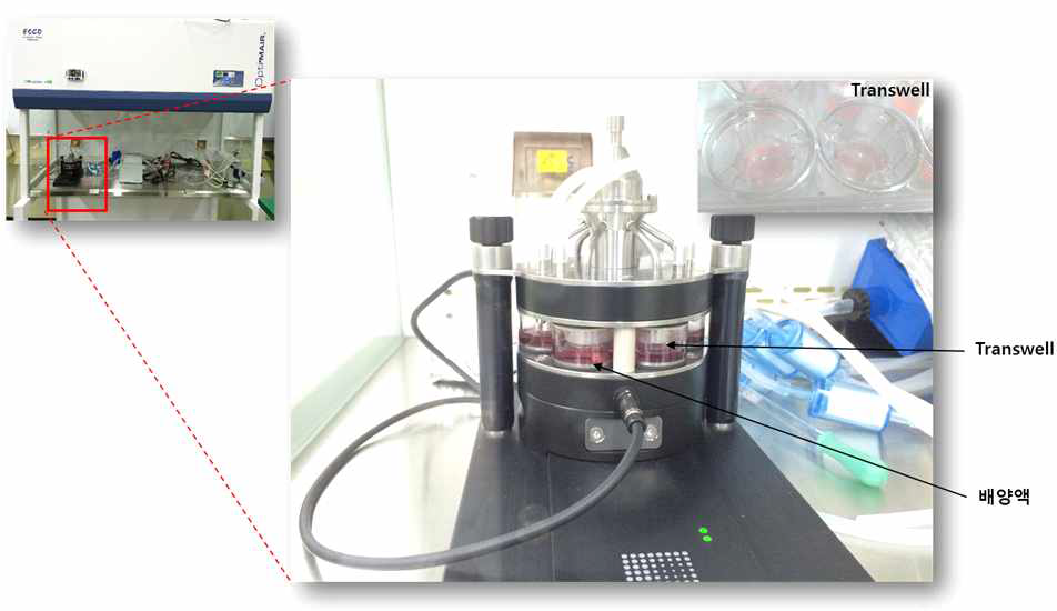 RFS Compact (CULTEX, 독일) 시스템을 이용한 세포 노출 시험 모습
