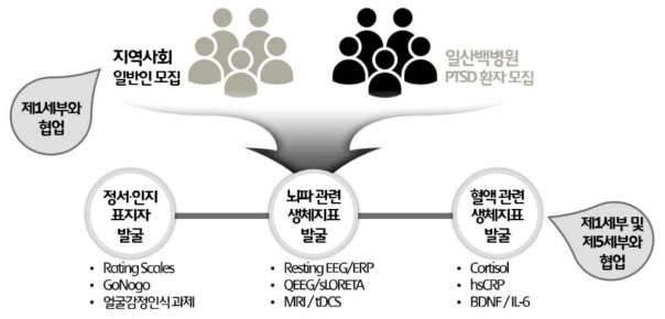 연구 진행 및 협업 체계도