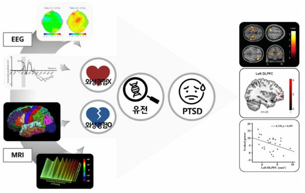 EEG 및 MRI 지표를 이용한 그룹 간 분석 방법:유전요인의 고려 및 상호작용 연구