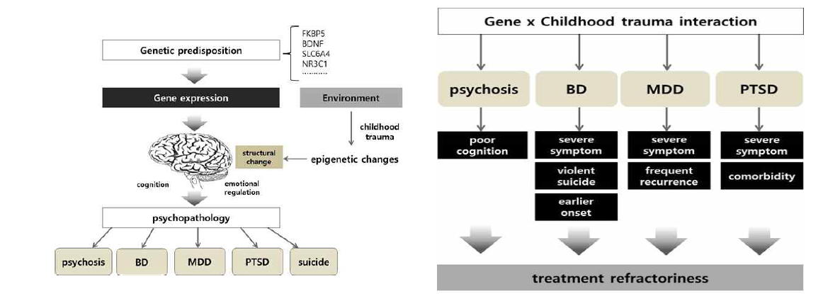 유전자와 유년기 외상병력 및 질환별 증상간의 관계