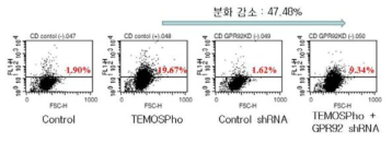 GPR92 발현 억제를 통한 TEMOSPho의 CD41발현 능력 검증