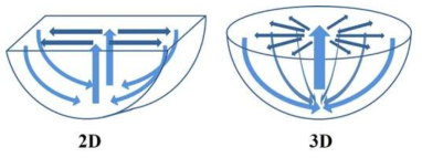 Difference of flow pattern between 2D and 3D geometries.