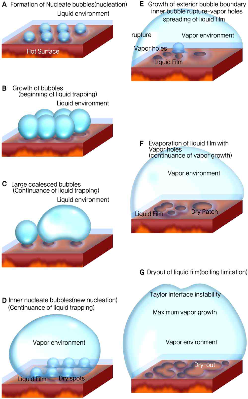 A visual model for the formation and dryout of a liquid film under its vapor environment