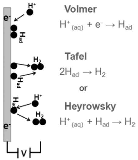 On the origin of hydrogen evolution reaction