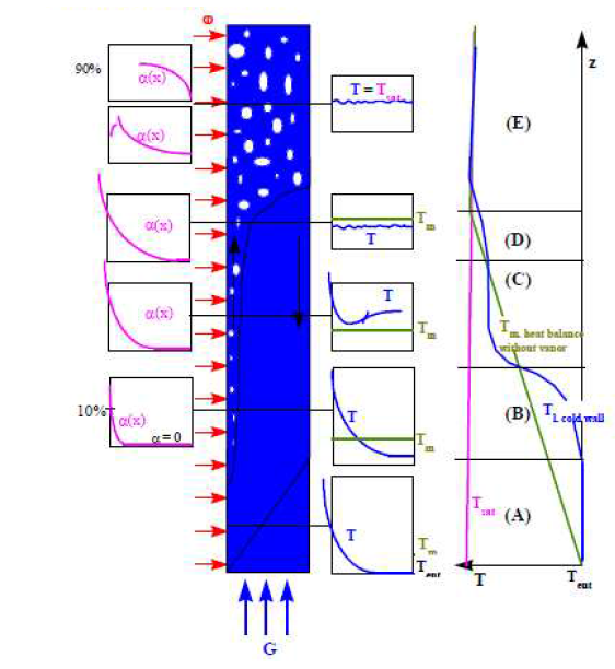 Profiles of void fraction and temperature for vertical position.