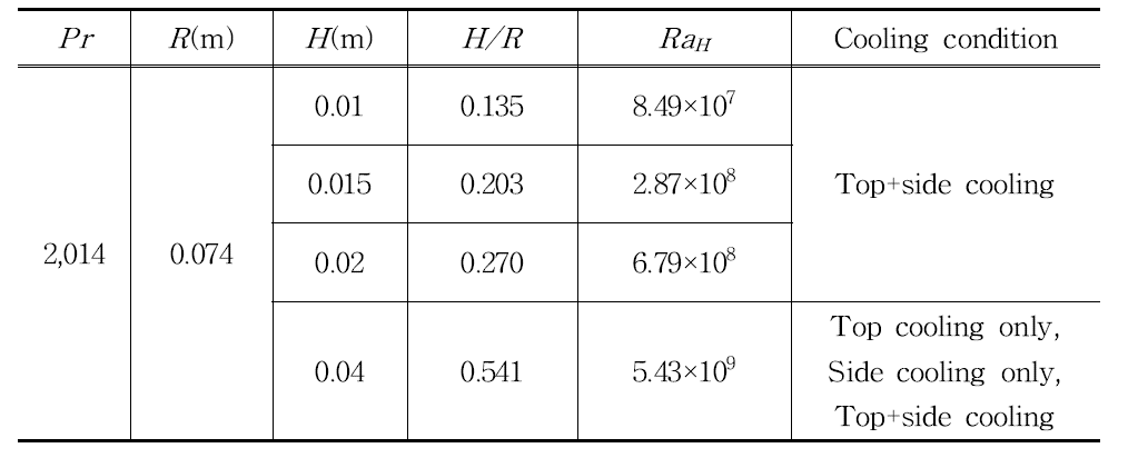 Test matrix of FLUENT for Focusing effect.