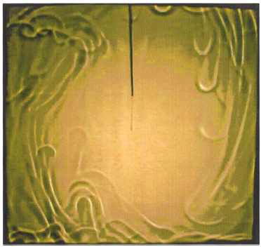 A shadowgraph showing the spatial distribution of thermal plumes.