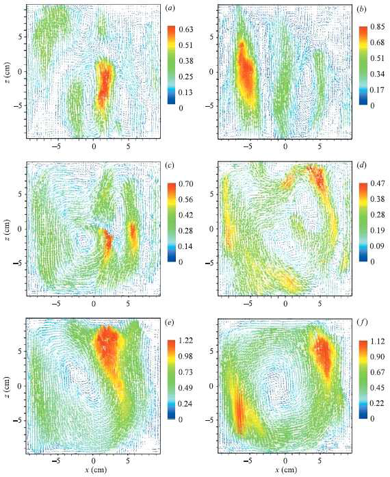 PIV-measured velocity fields.