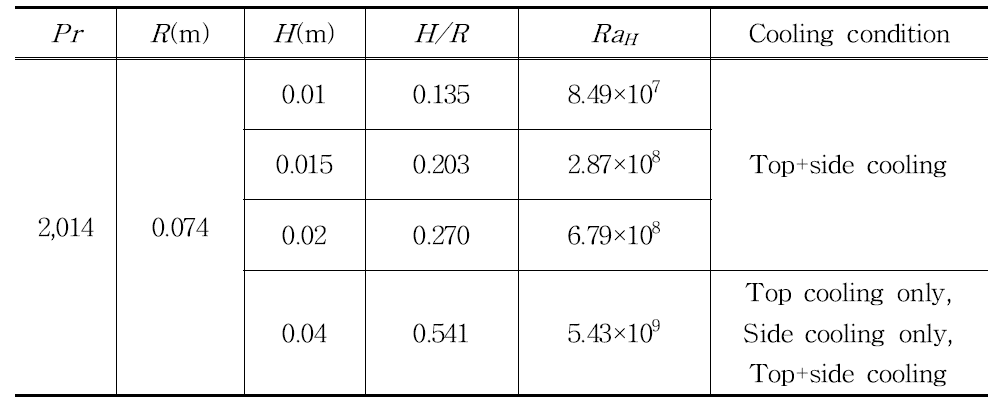 Test matrix of FLUENT for Focusing effect.