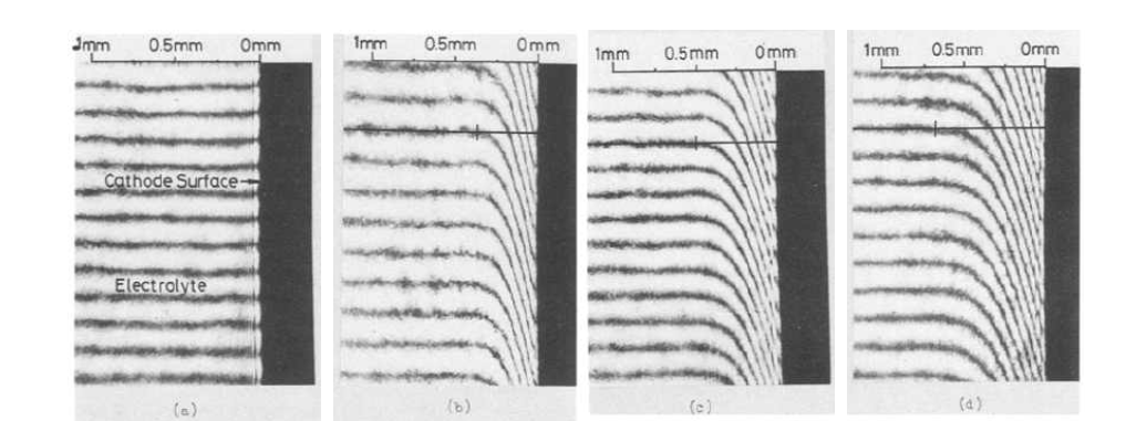 Holographic interferograms of cathodic diffusion layer.