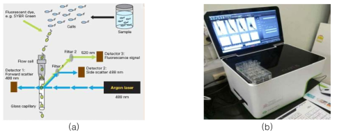 유세포분석기 ; a) 분석원리 , b) 사용기기 Cube6 (Partec, Germany)