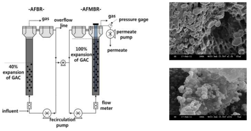 Staged anaerobic fluidized bed membrane bioreactor (SAF-MBR) 개략도