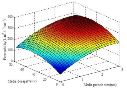 멤브레인 투과도와 메디아 주입량 (충진밀도) 그리고 메디아 크기 간 상관관계