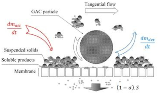 유동상 반응기 멤브레인 표면 파울링 이동기작