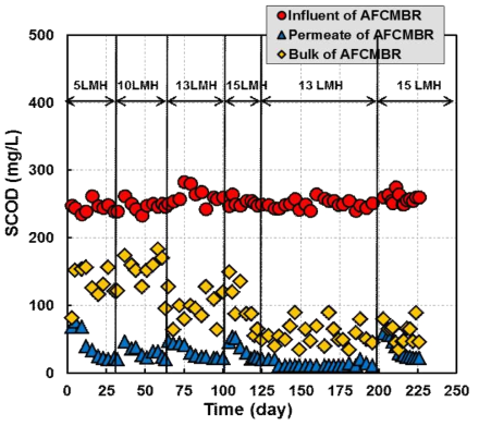 AFMBR 시스템 장시간 운전에 따른 유기물 제거효율