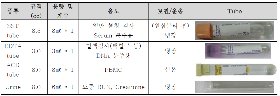 혈액 및 소변 검사