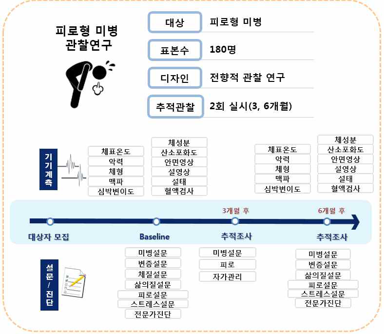 피로형 미병 관찰연구 방법