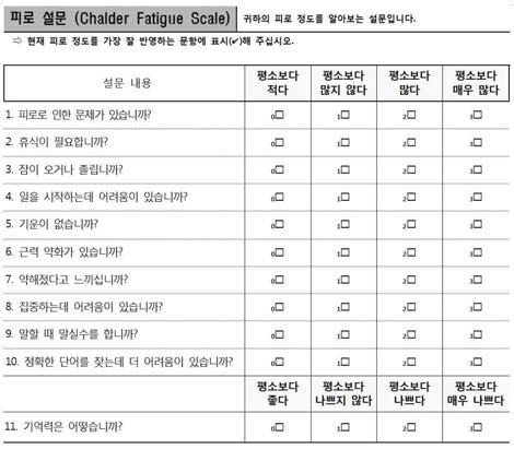 피로 설문