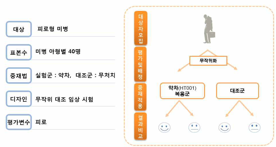 피로형 미병 약차 중재연구 방법