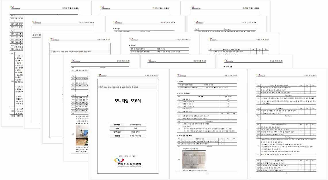 모니터링 보고서