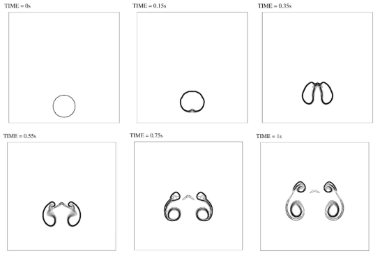 Murrone et al.의 bubble rising 결과