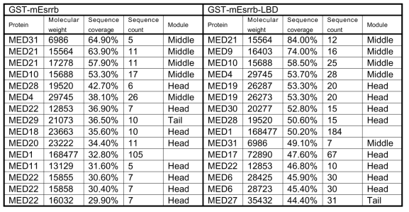 순수 정제한 GST-mEsrrb 그리고 GST-mEsrrb-LBD에 결합하는 단백질의 질량 분석 결과 Mediator complex subunit들이 Esrrb 높은 신뢰도로 Esrrb와 결합하는 것으로 동정되었음. Mediator 내 middle module의 subunit들이 Esrrb와 직접적으로 결합할 가능성을 높음.