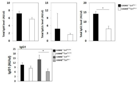 Analysis of basal serum levels of IgM, IgG2c and IgG1 levels in WT and C/EBPβ cKO mice.