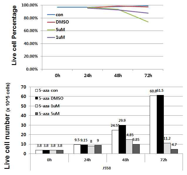 J558 세포에 5-aza 처리후 세포 viability 조사
