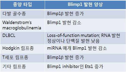 림프종과 골수종에서 Blimp1의 비정상적인 발현 양상