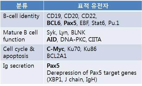 Blimp1 표적유전자