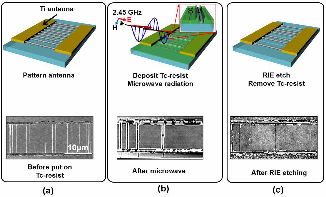 (a) Tc-resist 증착 전의 CNT 사진(전자주사현미경) 및 모식도 (b) 마이크로웨이브 조사 이후의Tc-resist 기반의 선택적 트랜치 형성 (c) 선택적 RIE 식각 및 Tc-resist 제거 이후에 정제된 반도체형 SWNT