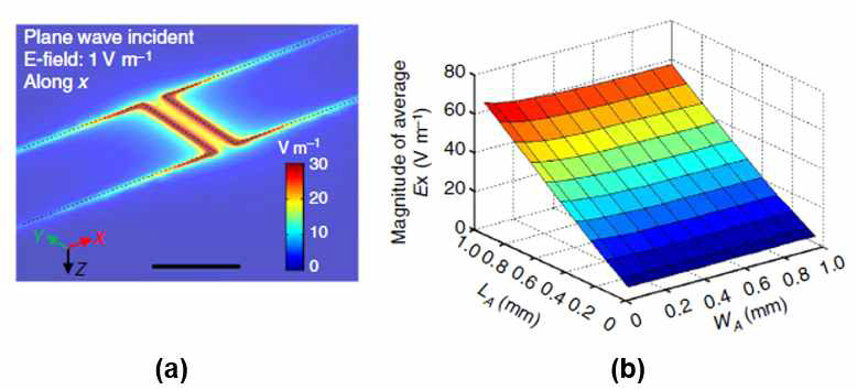 (a)dipole 안테나에 실제 인가되는 전자기장의 세기를 보여 주는 simulation 결과 (b) 채널 내부에 인가되는 위치별 전기장의 세기 분포를 보여 주는 정량화 그래프