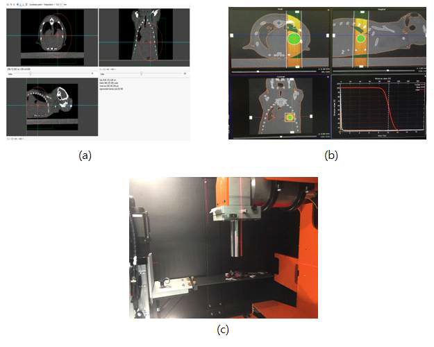 동물 방사선 플랜 시스템을 이용한 마우스의 방사선 조사 계획 및 방사선 조사