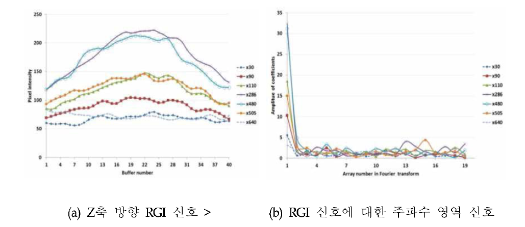 Range 영상에서 위치별 Z축 방향의 RGI 신호 및 주파수 영역