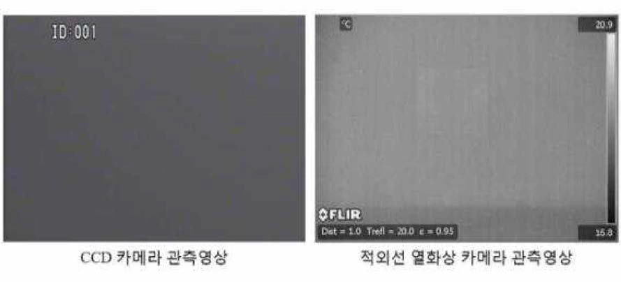 열판 (10m 위치) 관측 영상 (안개 포화 상태, 가시도 0.8m)