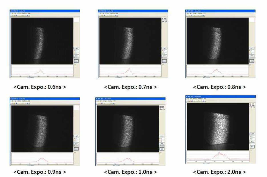 펄스조명 폭을 측정하기 위하여 노출시간별로 획득한 RGI 영상
